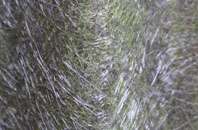 Inkerman fibreglass roof work